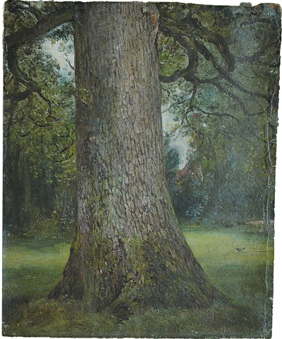 Constable-Study of the Trunk of an Elm Tree
